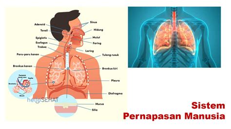 tempat mesum Inovator SEO Konten 322 bunyi bassy tip pernapasan image 5